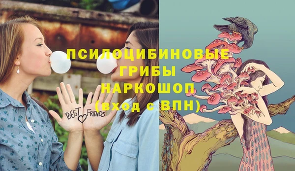 мдпв Уссурийск