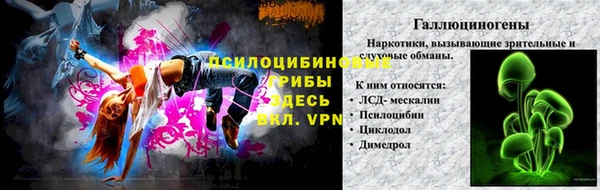 дмт Магадан