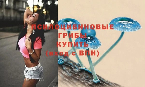 таблы Магас