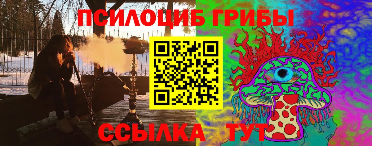 Галлюциногенные грибы GOLDEN TEACHER Краснознаменск
