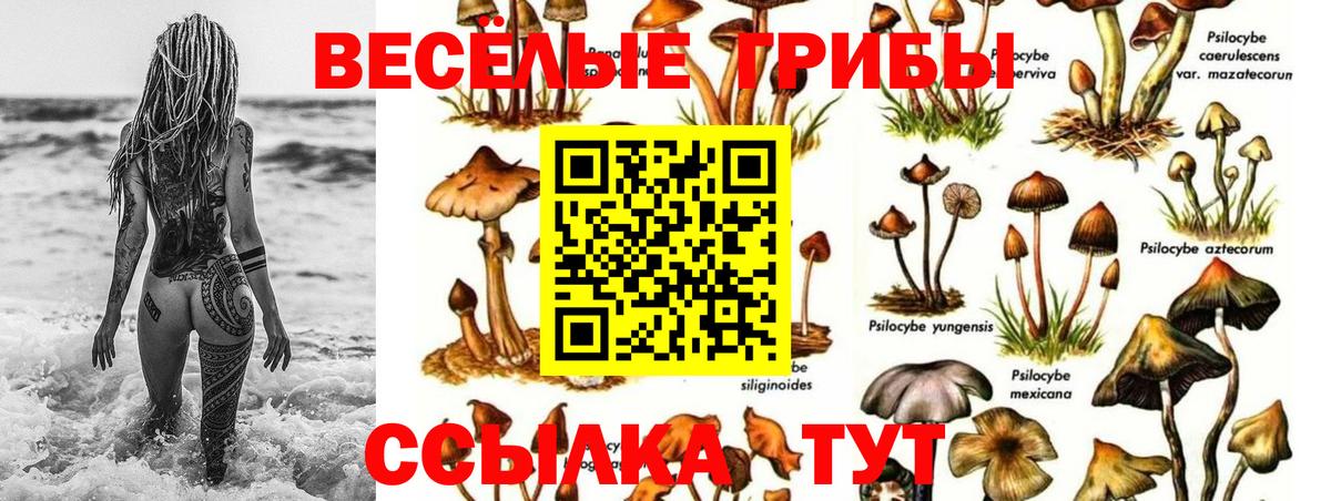 Краснознаменск  Галлюциногенные грибы мухоморы  Псилоцибиновые грибы мухоморы  Вход с VPN 